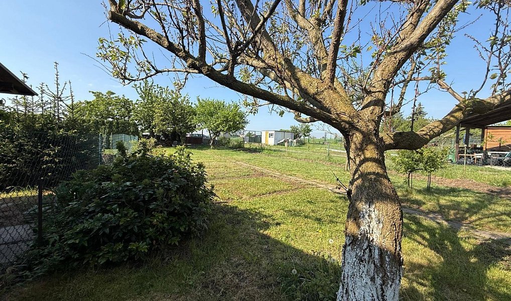 Prodej zahrady 428 m², Spořice – náhled fotky 10
