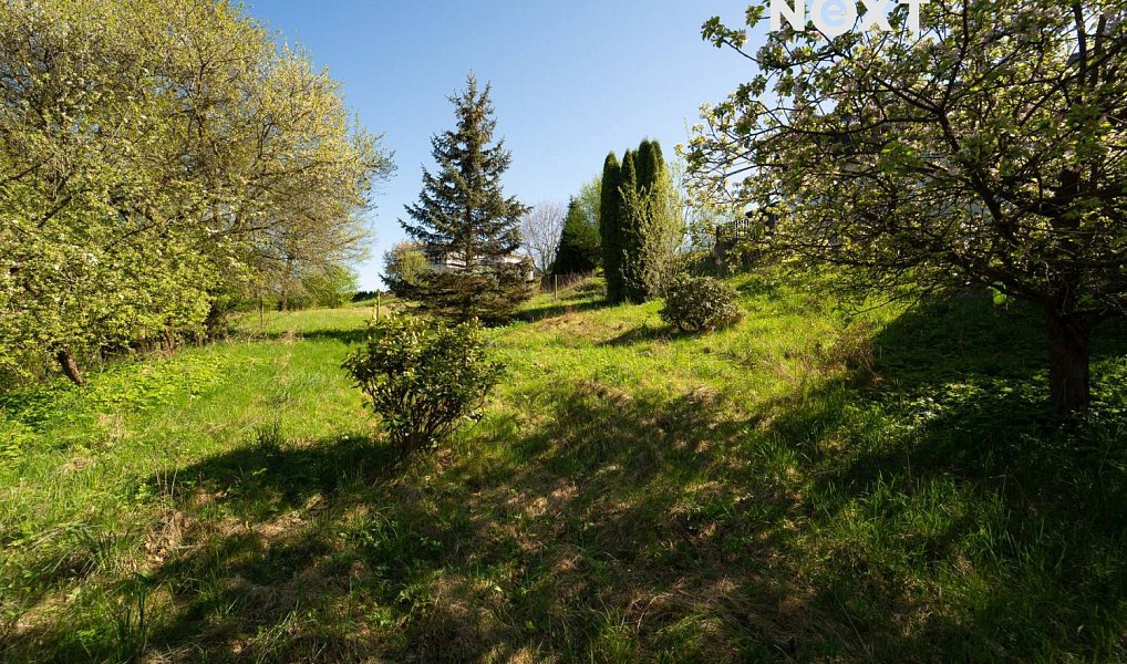 Prodej stavebního pozemku 1 928 m², Rybník – náhled fotky 10