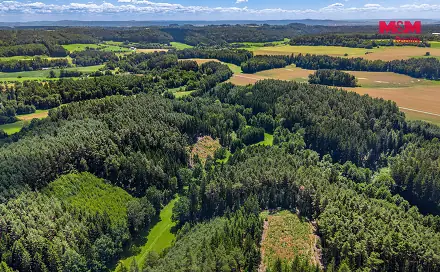 Prodej lesa 11 944 m², Bílá, okres Liberec