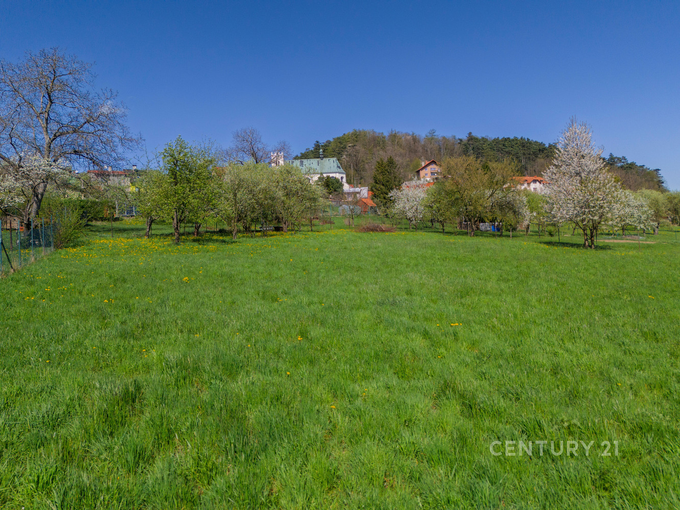 Prodej stavebního pozemku 2 462 m² – fotografie 4