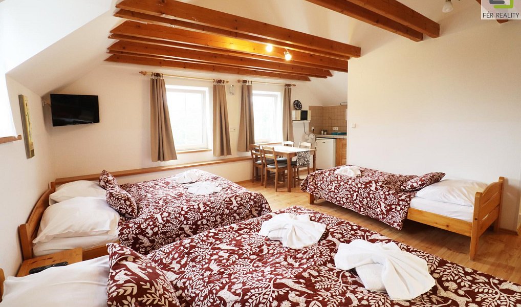Prodej ubytovacího objektu 607 m², Vědomice – náhled fotky 4