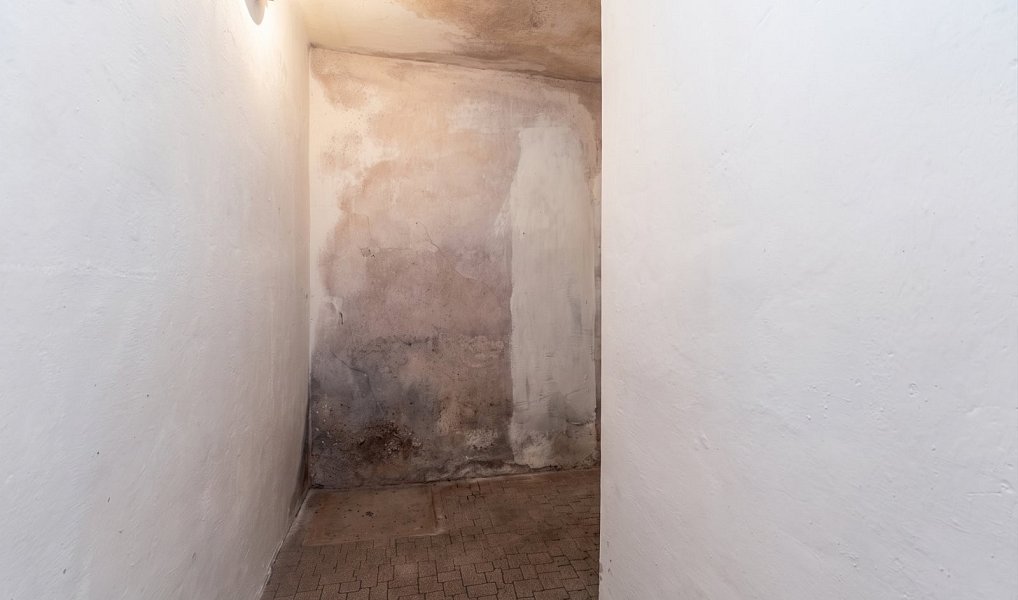 Prodej domu 120 m² s pozemkem 877 m², Lužice – náhled fotky 13