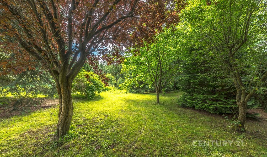 Prodej chaty/chalupy 663 m² s pozemkem 4 988 m², Mnich – náhled fotky 25