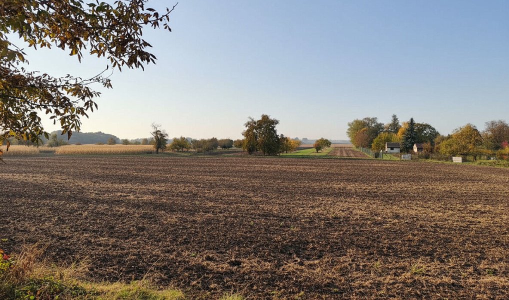 Prodej zahrady 1 564 m², Opatovice – náhled fotky 7