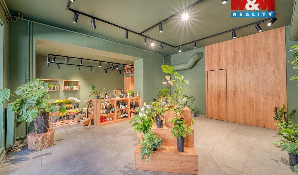 Pronájem restaurace 145 m², Plzeň – náhled fotky 7