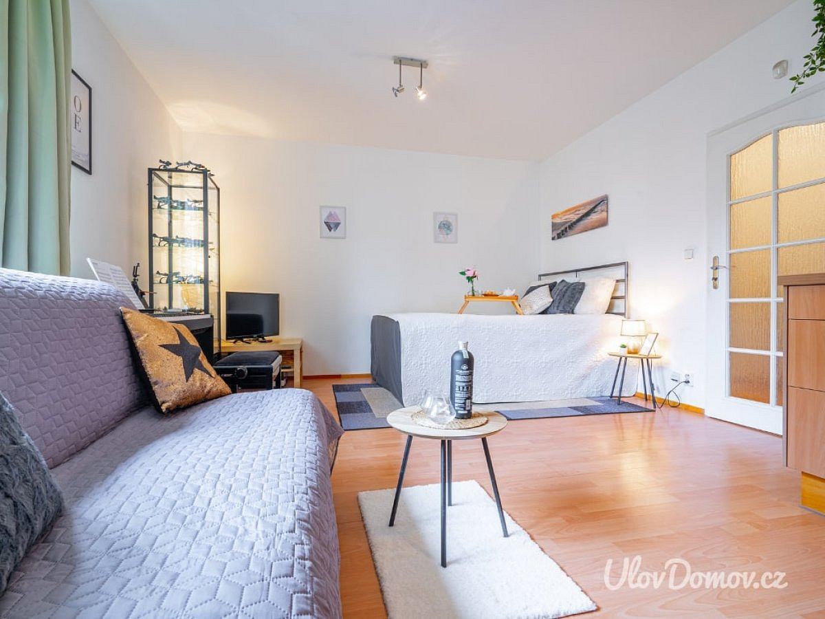 Pronájem bytu 1+kk 33 m² – fotografie 3