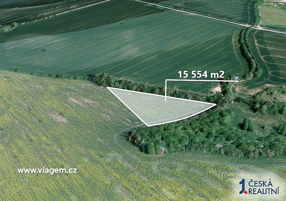 Prodej pole 3 456 m² – fotografie 2