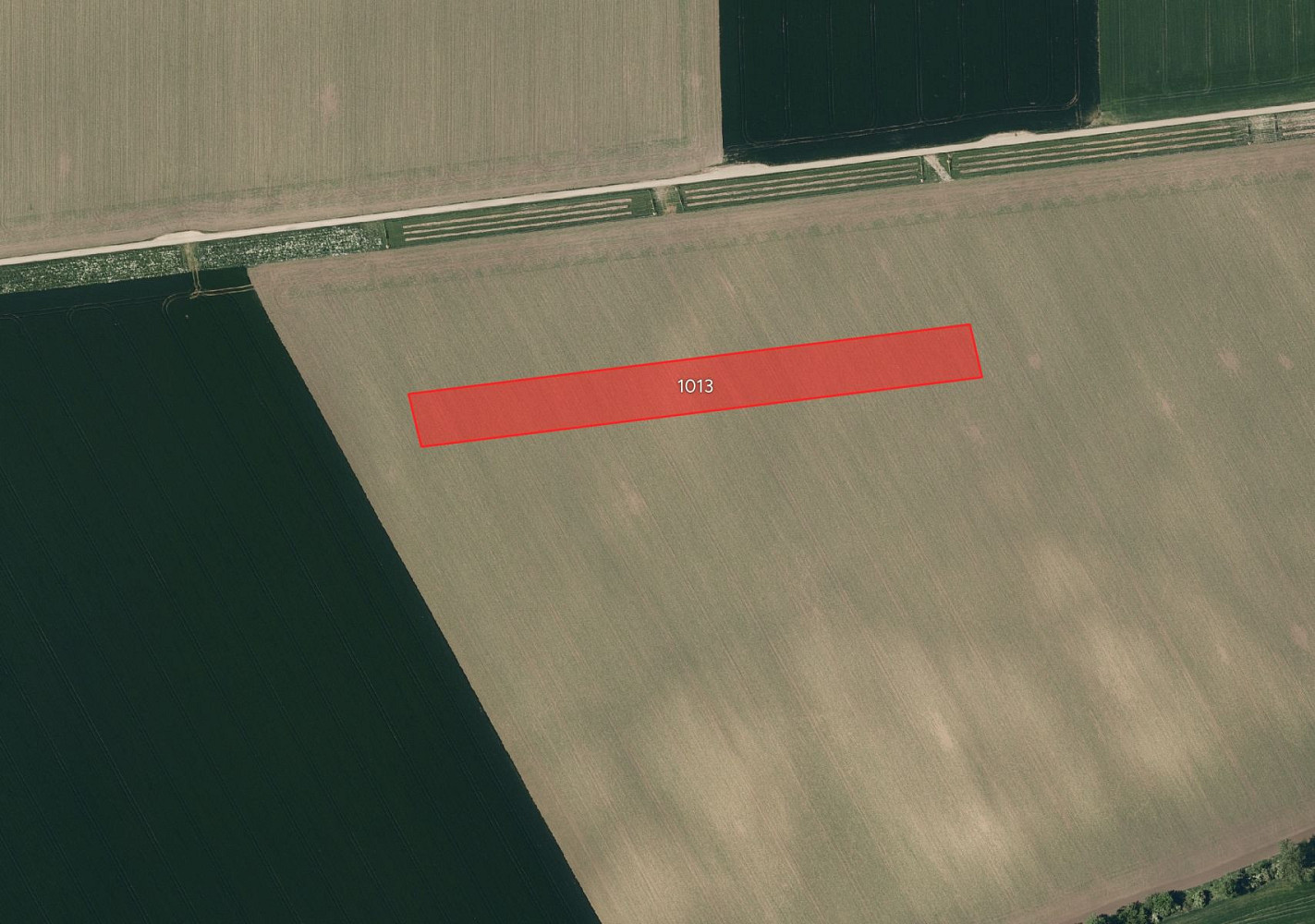 Prodej pole 8 787 m² – fotografie 2