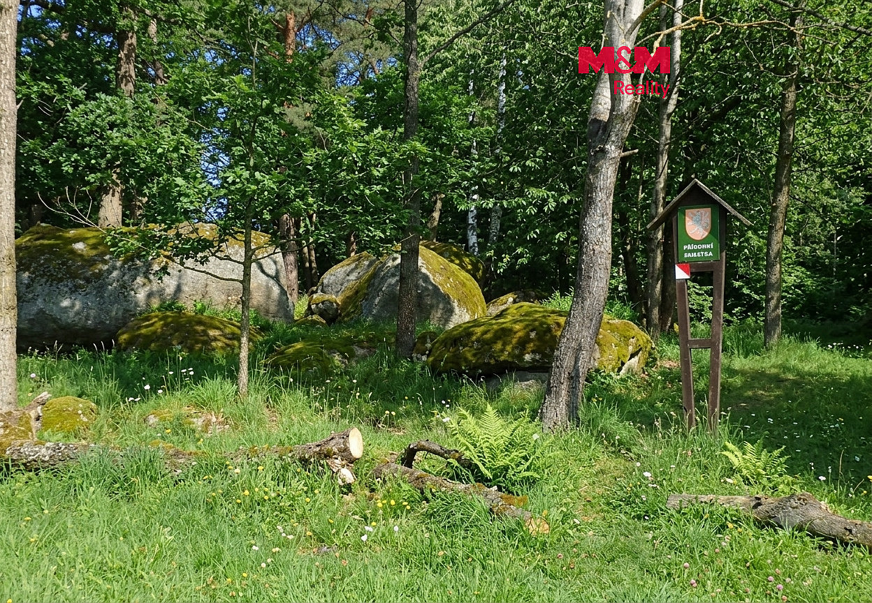 Prodej lesa 7 042 m²