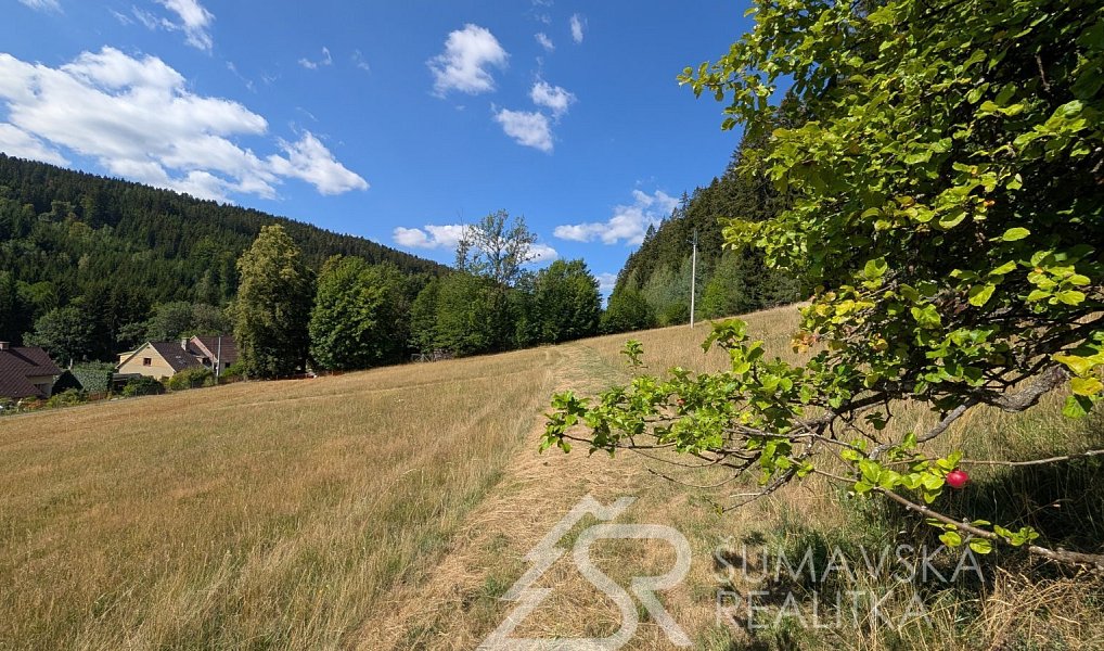 Prodej stavebního pozemku 4 773 m², Petrovice u Sušice – náhled fotky 4