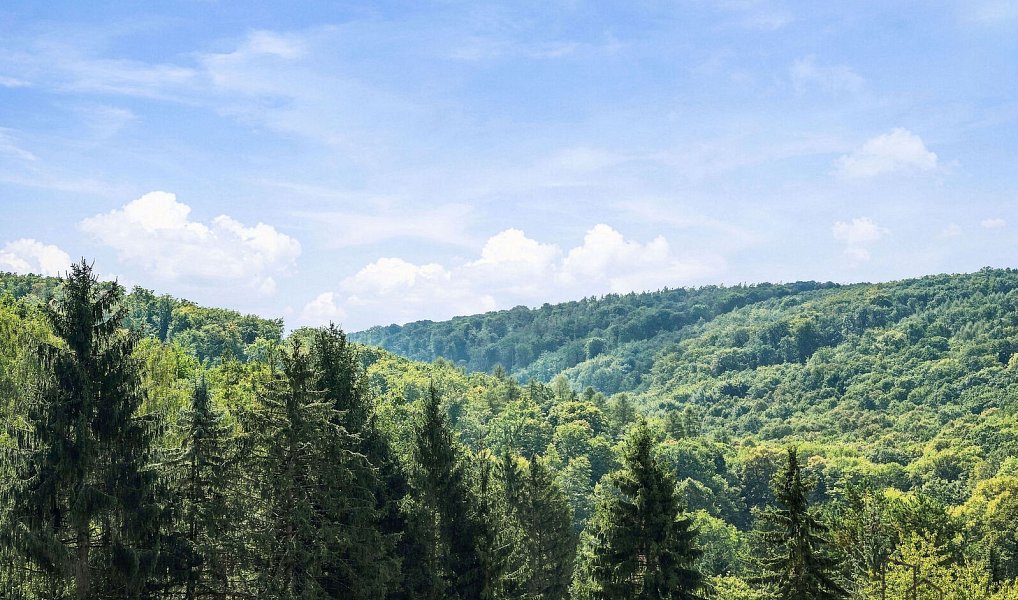 Prodej chaty/chalupy 75 m² s pozemkem 1 575 m², Radějov – náhled fotky 18