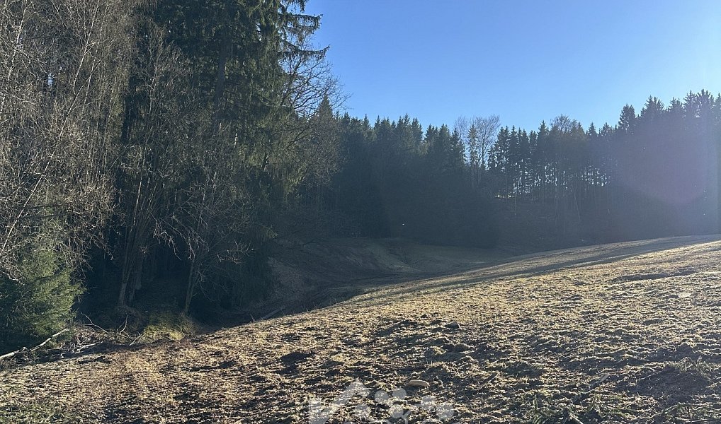 Prodej louky 15 029 m², Bozkov – náhled fotky 4