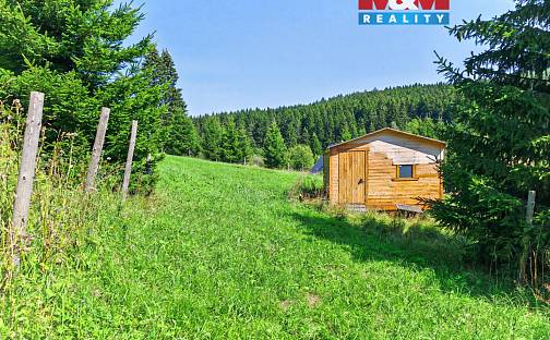 Prodej louky 2 445 m², Malá Úpa - Dolní Malá Úpa, okres Trutnov