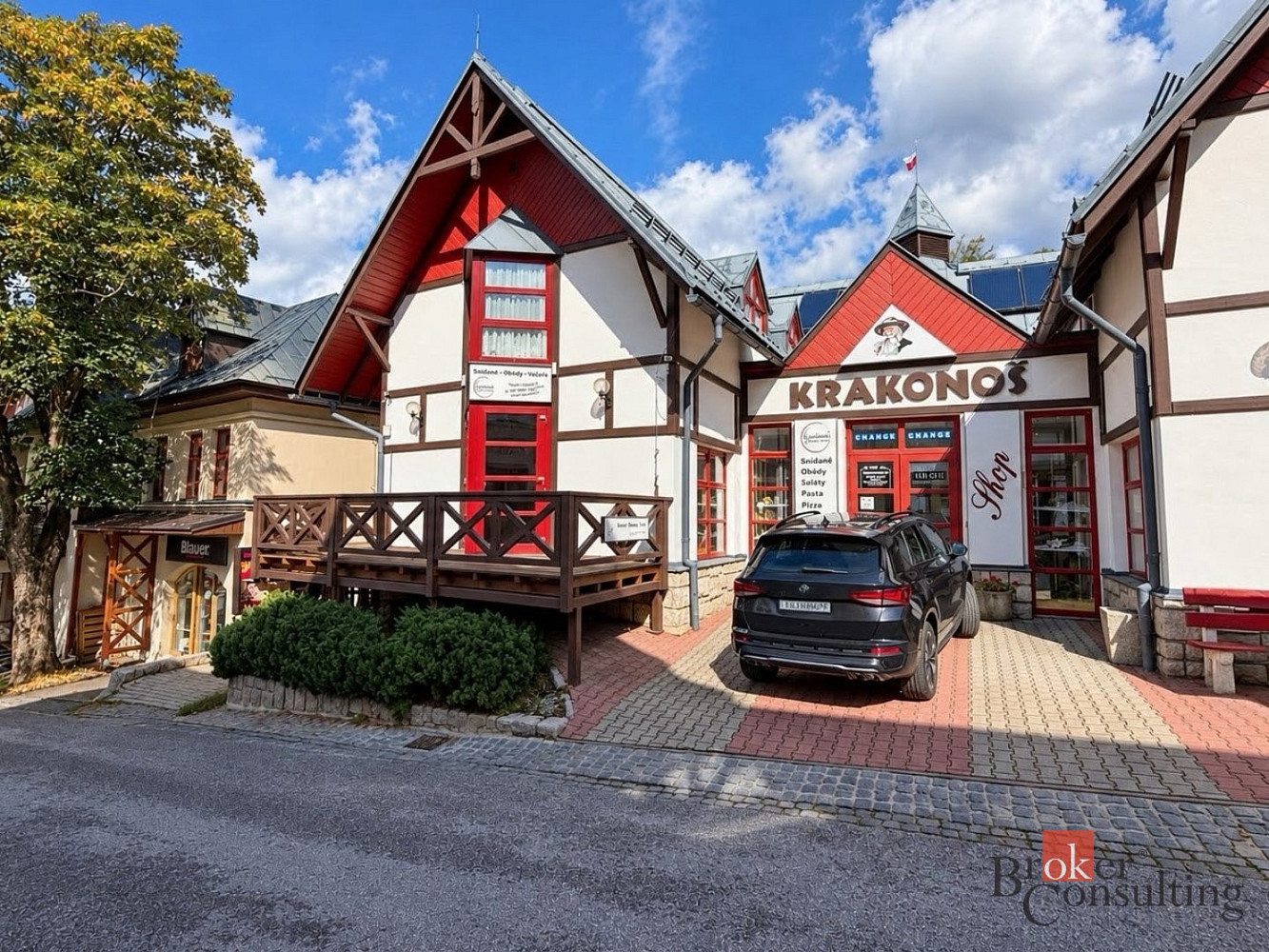 Pronájem obchodních prostor 55 m²
