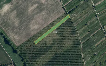 Prodej pole 4 613 m², Prušánky, okres Hodonín