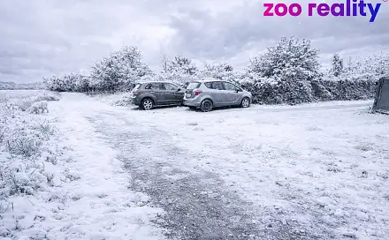 Prodej stavebního pozemku 644 m², Přerov