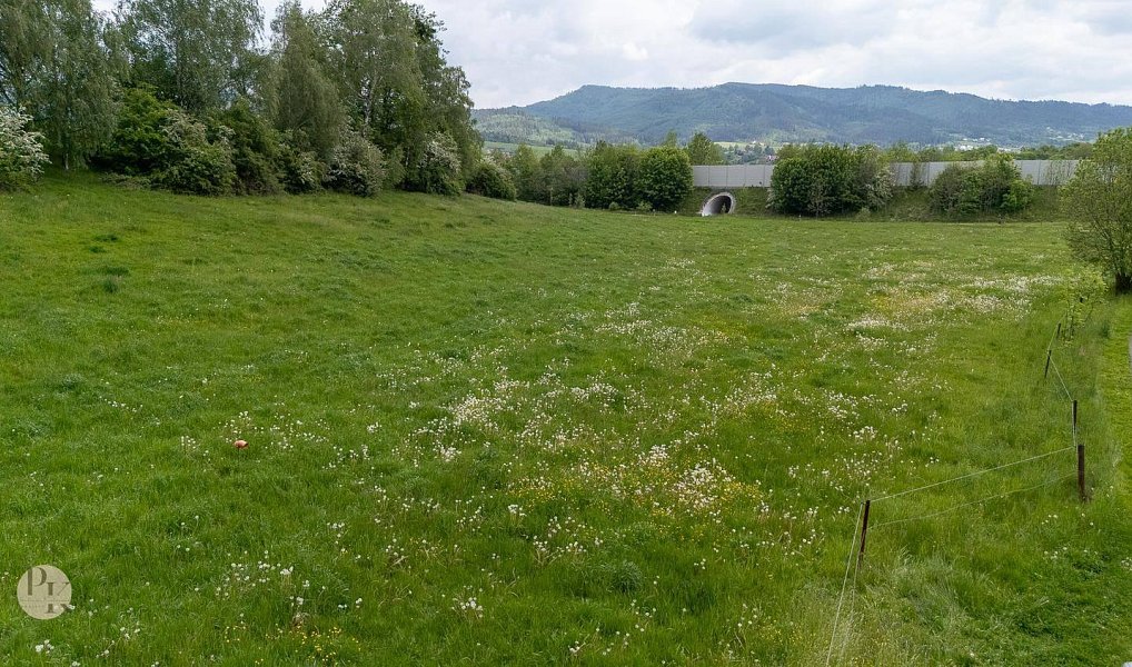Prodej stavebního pozemku 1 359 m², Bocanovice – náhled fotky 10