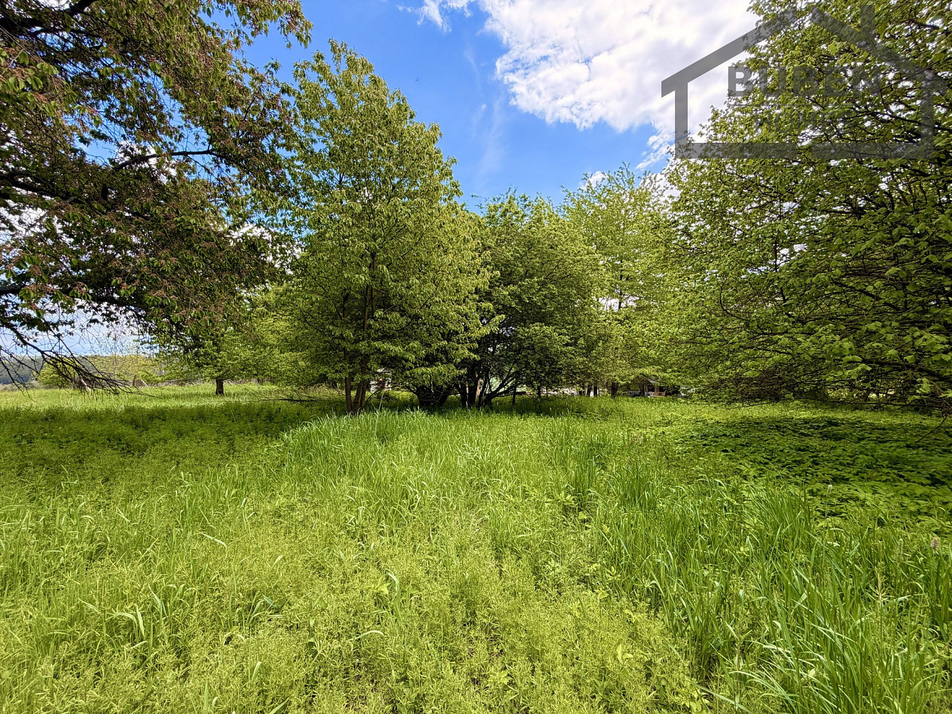 Prodej stavebního pozemku 2 218 m² – fotografie 4