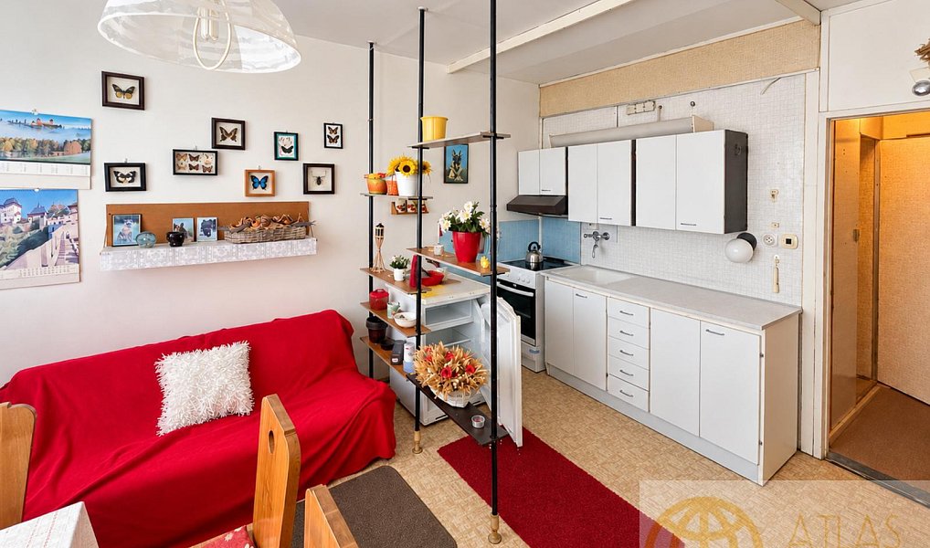 Prodej bytu 1+1, 31 m², České Budějovice 2 - České Budějovice, České Budějovice