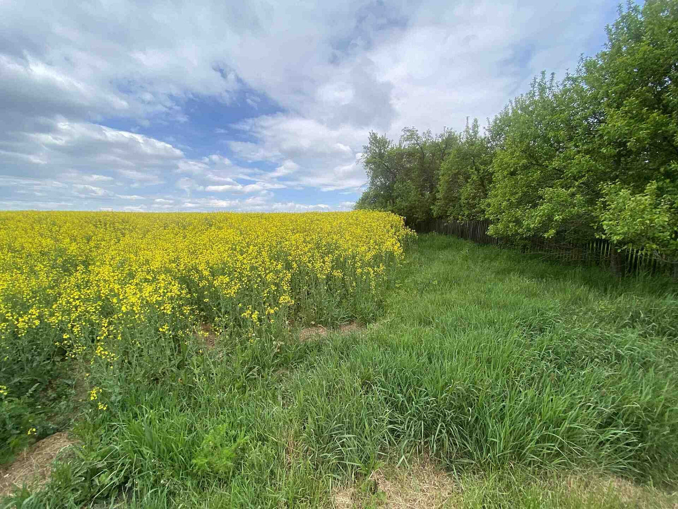 Prodej pozemku 1 750 m² – fotografie 2