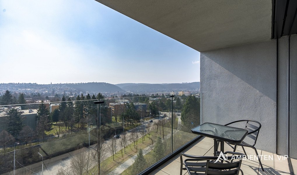 Pronájem bytu 1+kk 35 m², Brno – náhled fotky 3