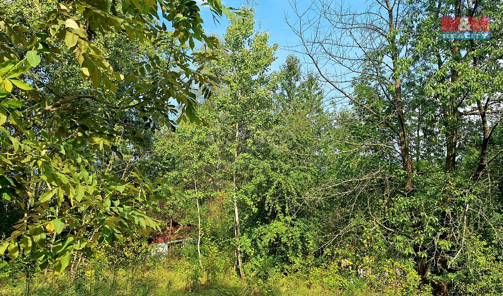Prodej stavebního pozemku 10 875 m², Úštěk – náhled fotky 10