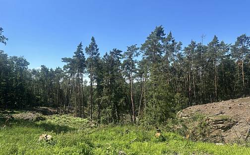 Prodej lesa 27 933 m², Nebužely, okres Mělník