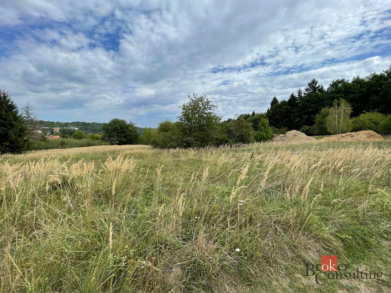 Prodej stavebního pozemku 1 881 m² – fotografie 3