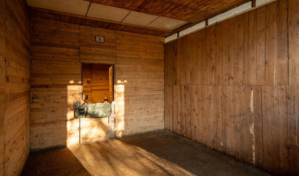 Pronájem komerčního pozemku 22 800 m², Markvartovice – náhled fotky 5