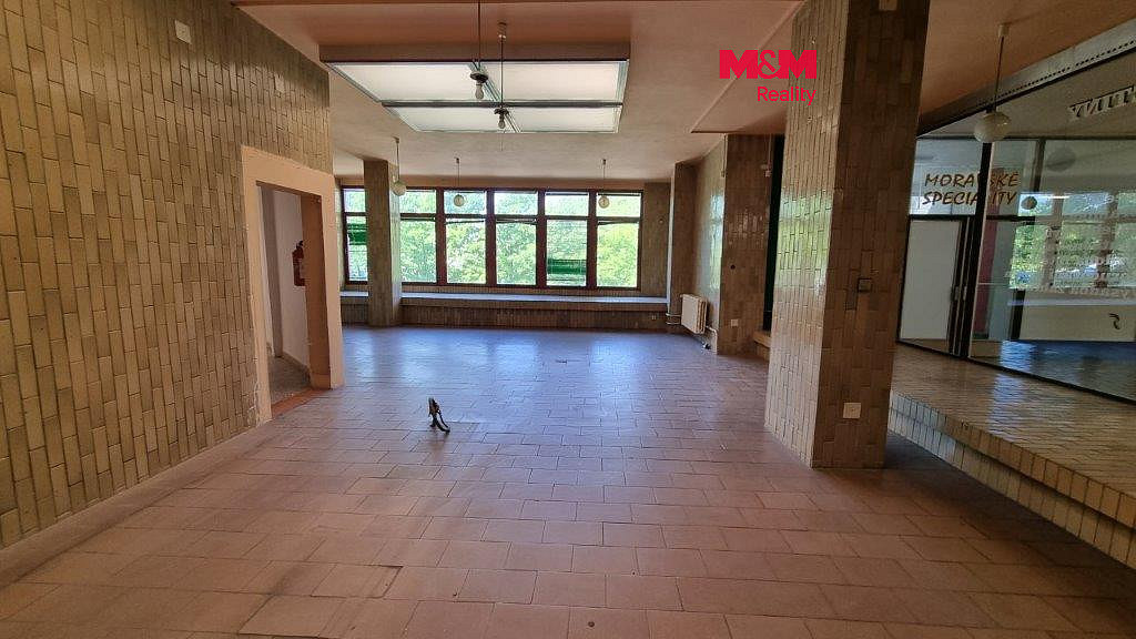 Pronájem obchodních prostor 214 m²