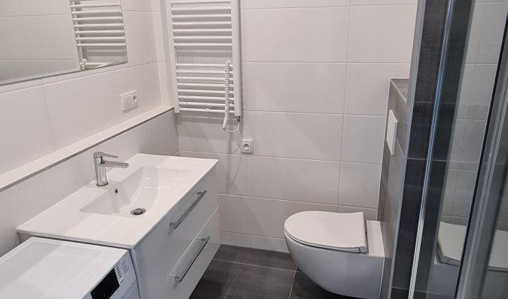 Pronájem bytu 1+1 45 m², Ostrava – náhled fotky 2