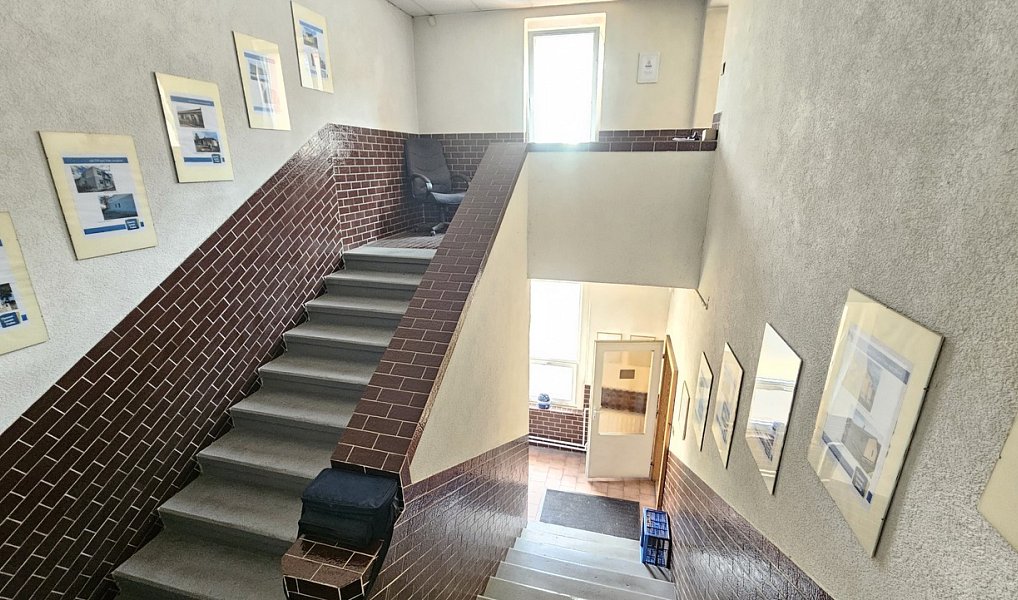 Prodej domu 310 m² s pozemkem 878 m², Jílové – náhled fotky 7