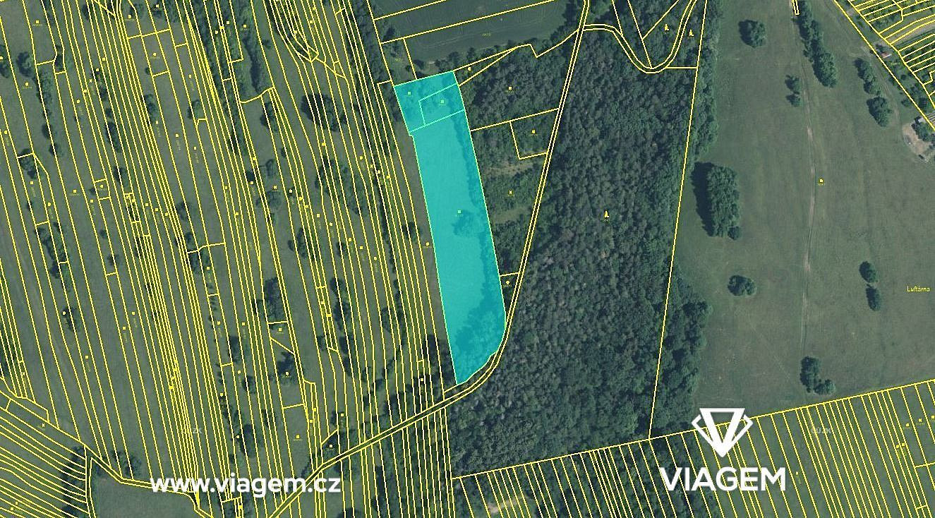 Pole 10 889 m², Podíl 56 % o výměře 6 049 m² – pohled 3