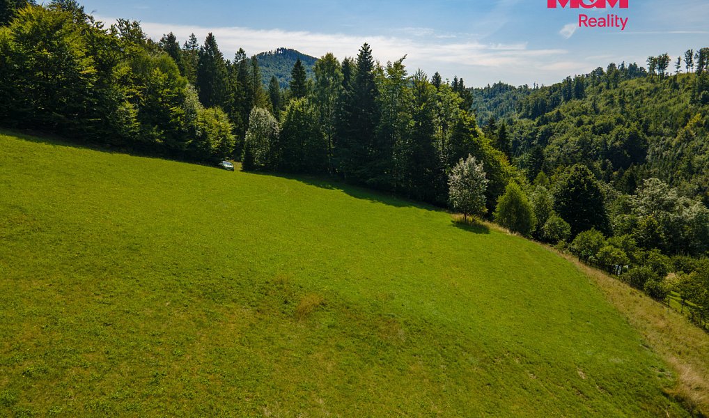 Prodej pole 17 552 m², Nýdek – náhled fotky 6