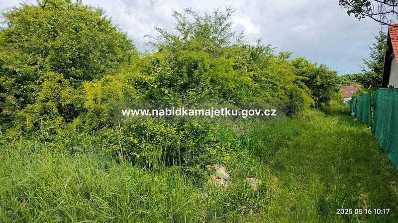 Fotka 3 z 3