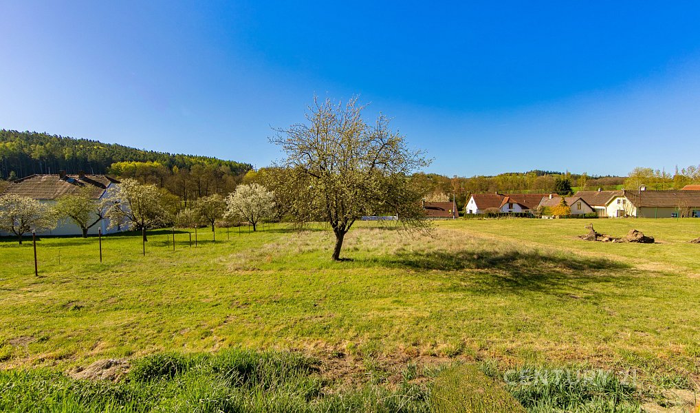 Prodej stavebního pozemku 5 613 m², Soběšice – náhled fotky 12