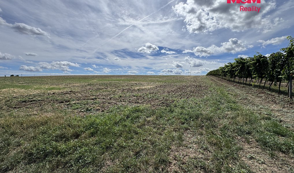 Prodej pole 9 598 m², Valtice – náhled fotky 9