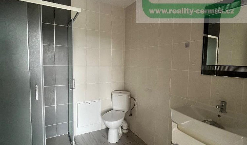 Pronájem bytu 1+1 40 m², Domažlice – náhled fotky 7