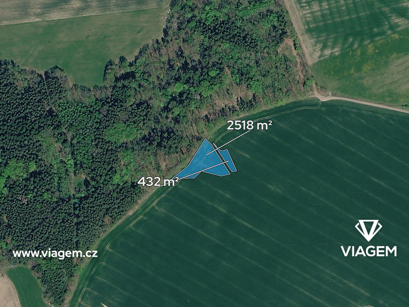 Prodej pole 2 950 m² – fotografie 2