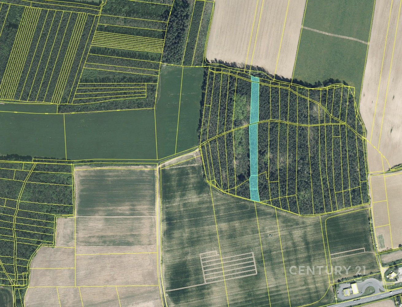 Prodej lesa 4 433 m²