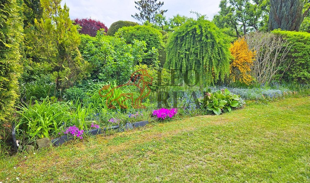 Prodej chaty/chalupy 11 m² s pozemkem 300 m², Šenov u Nového Jičína – náhled fotky 9