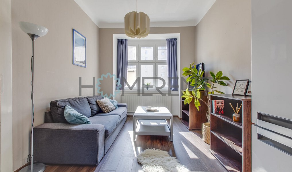 Pronájem bytu 2+kk, 57 m², Žižkov - Praha 3, Praha