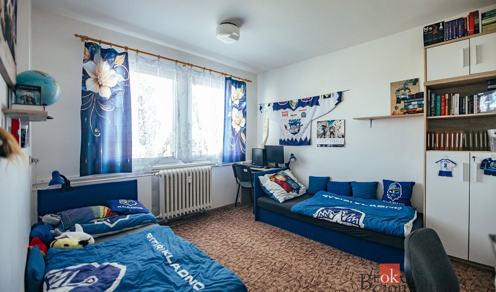 Prodej bytu 2+1 60 m², Opočno – náhled fotky 9
