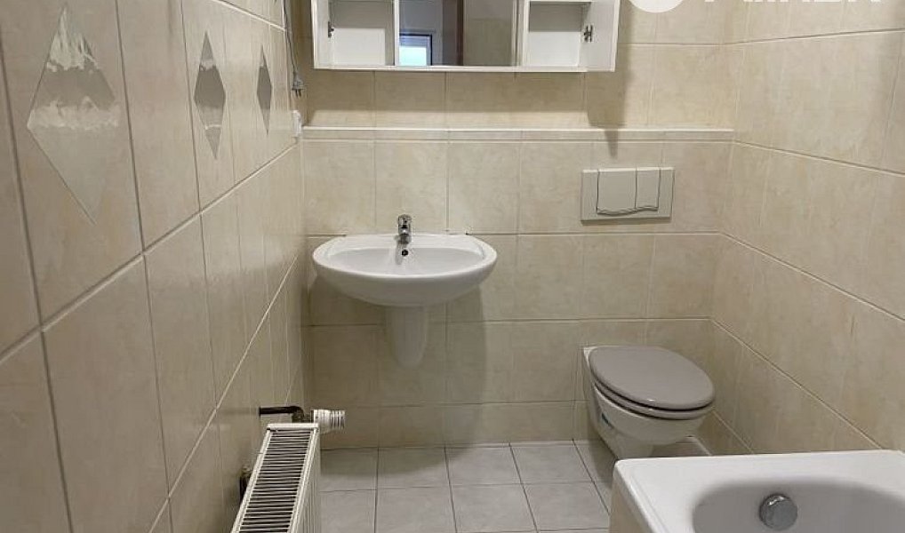 Pronájem bytu 3+1 110 m², Horní Benešov – náhled fotky 6