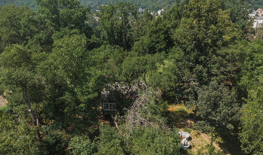 Prodej chaty/chalupy 24 m² s pozemkem 1 480 m², Zdiby – náhled fotky 18