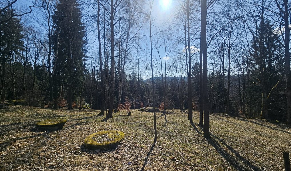 Prodej domu 635 m² s pozemkem 11 396 m², Janov nad Nisou – náhled fotky 4