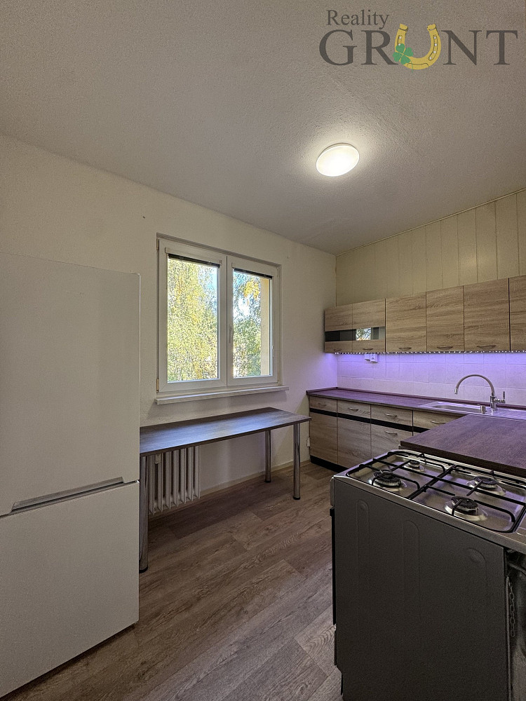 Pronájem bytu 2+1 54 m² – fotografie 2