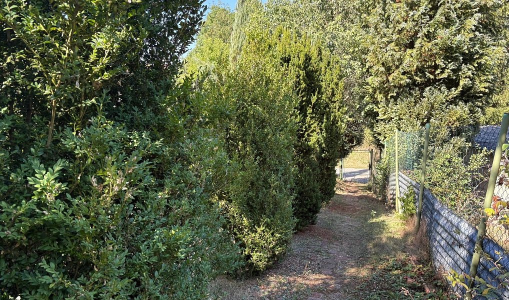 Prodej chaty/chalupy 64 m² s pozemkem 1 470 m², Jaroměřice – náhled fotky 24