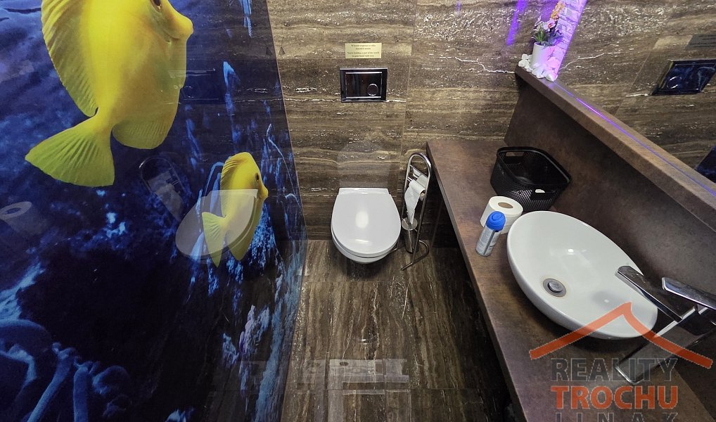 Prodej domu 390 m² s pozemkem 2 700 m², Meziměstí – náhled fotky 8