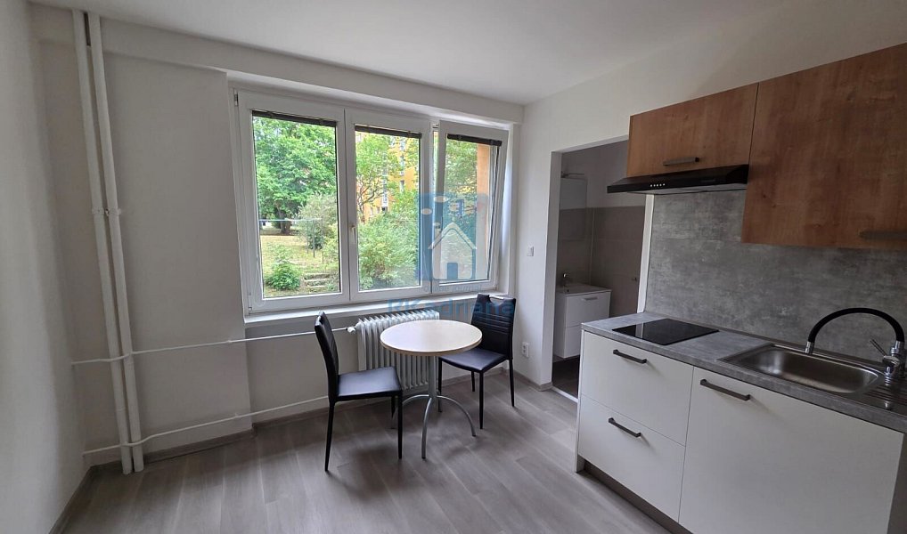 Pronájem bytu 1+kk 25 m², Plzeň – náhled fotky 2